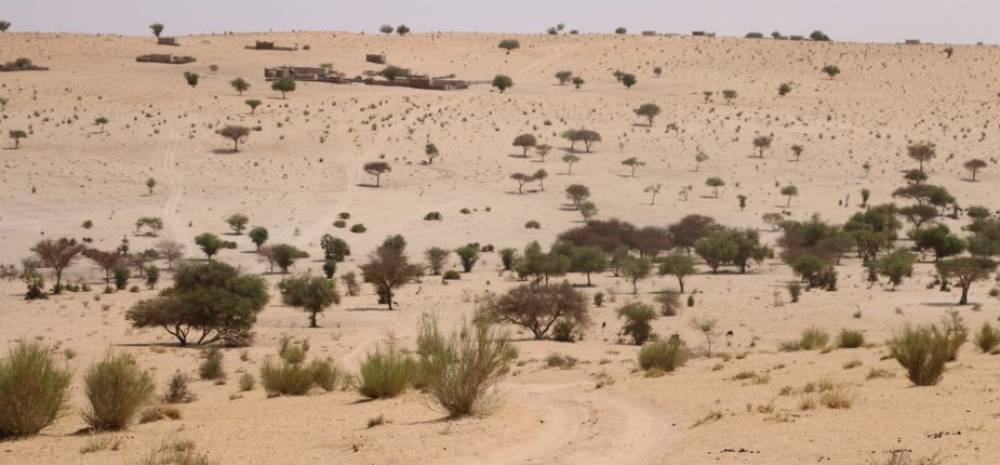 Libération d’un otage roumain au Sahel : la Roumanie remercie le Maroc