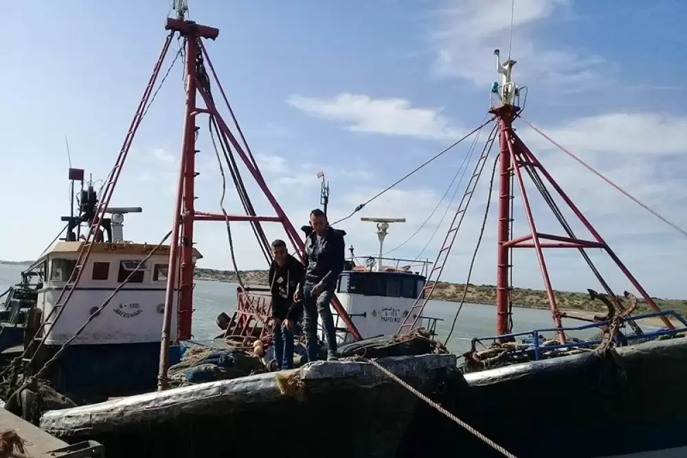 Port de Boujdour: Baisse de 18% des débarquements de la pêche côtière et artisanale en juillet