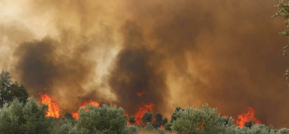 Taza: L’incendie de la forêt de Maghraoua maitrisé à 75% après 5 jours d’efforts