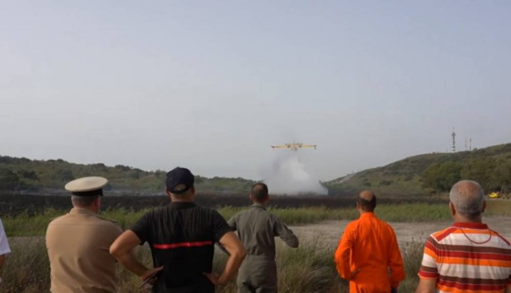 L'incendie à la réserve de Sidi Bou Ghaba circoncis grâce à l'intervention des Canadairs