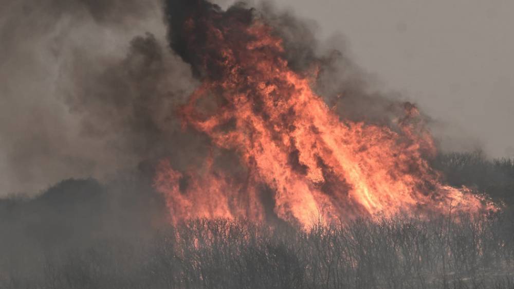 Grèce: les zones brûlées par les feux de forêt dépasseront les 150.000 hectares