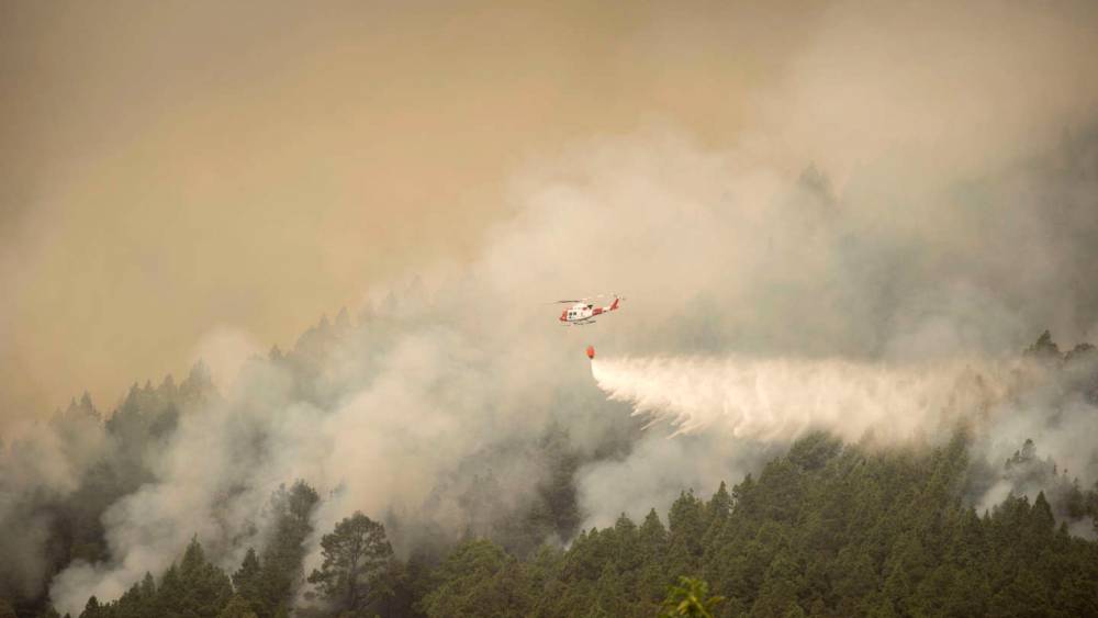 Feu de forêt en Espagne : Près de 14.000 hectares partent en fumée à Tenerife