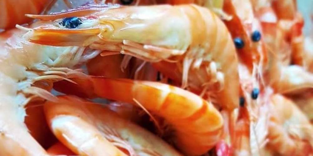 Espagne : Alerte sur un lot de crevettes provenant du Maroc