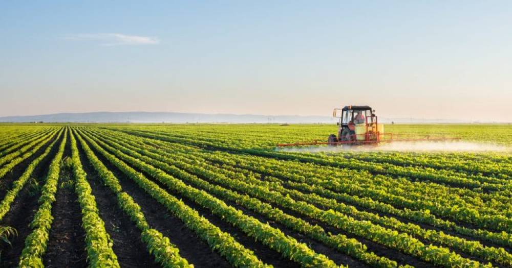 Province de Settat: Lancement et suivi de plusieurs projets de développement agricole et rural