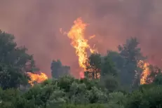 Chefchaouen : trois Canadair mobilisés pour un incendie hors norme dans la forêt de Karankha