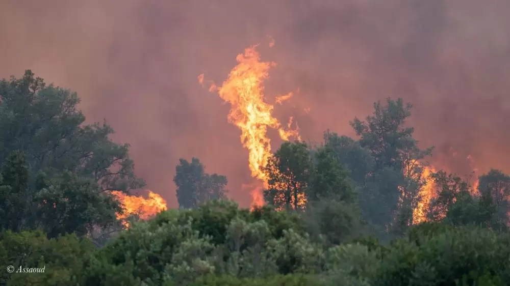 Chefchaouen : trois Canadair mobilisés pour un incendie hors norme dans la forêt de Karankha