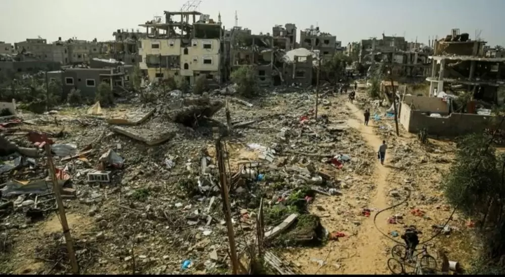 FAO : l’agriculture quasi détruite à Gaza, seulement 1,5 % des terres encore cultivables