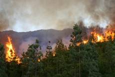 Incendies en Espagne : le Maroc envoie deux Canadair