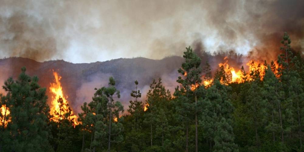 Incendies en Espagne : le Maroc envoie deux Canadair