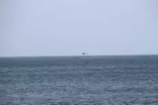 Recherche en cours après la chute d'un passager entre Tanger et Tarifa