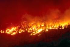 Risque de feux de forêt: Sept départements français placés en vigilance orange