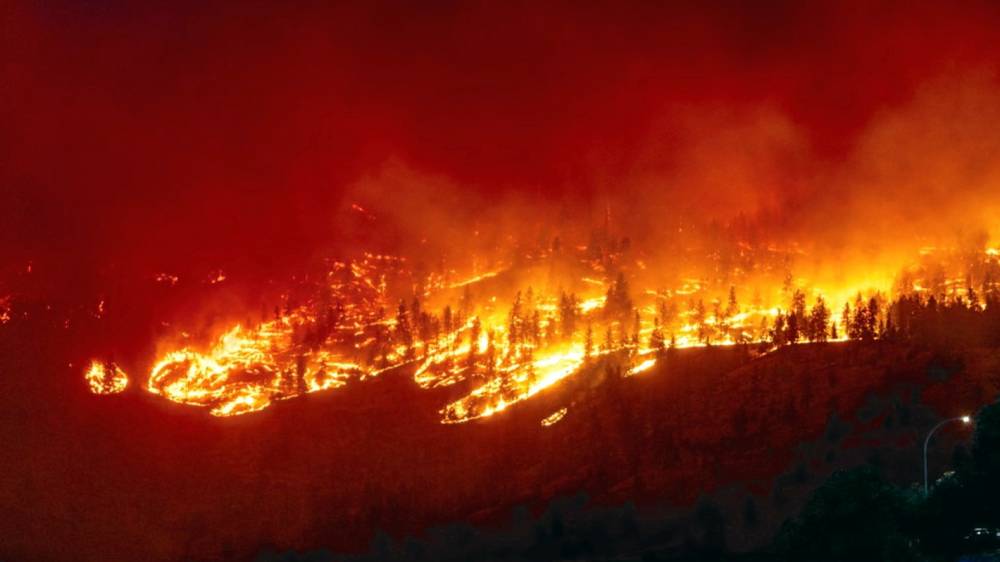 Risque de feux de forêt: Sept départements français placés en vigilance orange