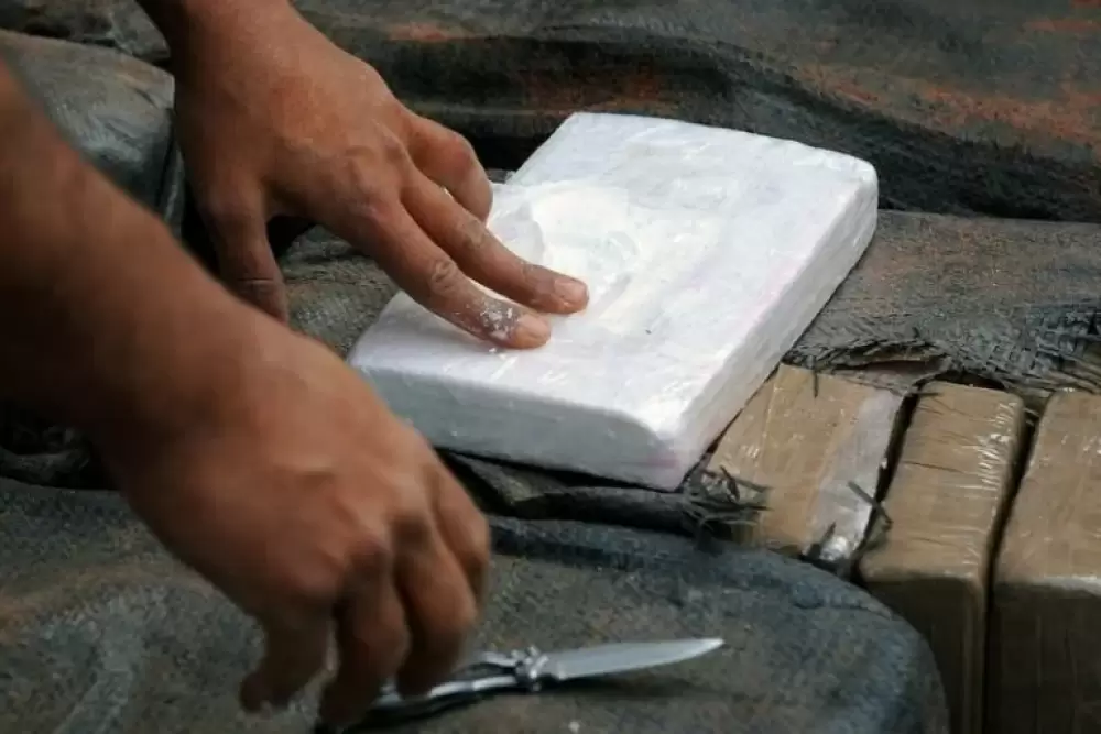 Dans les forêts de Milan, des mineurs marocains exploités par la mafia de la drogue