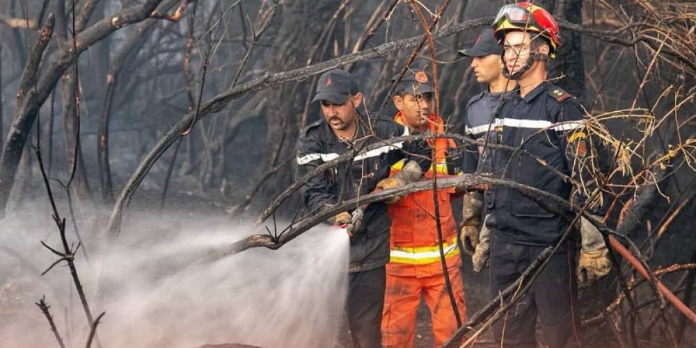 Chefchaouen : La Protection civile annonce la maîtrise totale des incendies de forêt