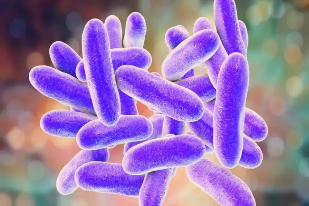 Alerte sanitaire aux États-Unis : une bactérie mangeuse de chair fait huit morts