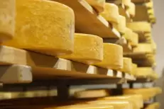 Fromages contaminés : Une alerte sanitaire va au-delà de la France