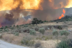 Feux de forêt : le Nord du Royaume en proie aux flammes