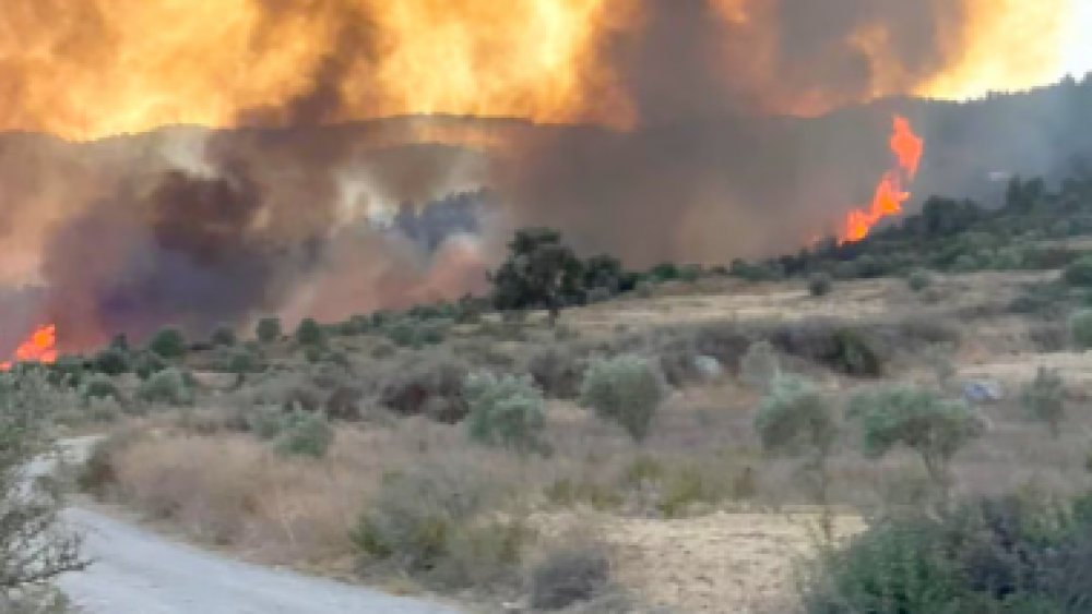 Feux de forêt : le Nord du Royaume en proie aux flammes