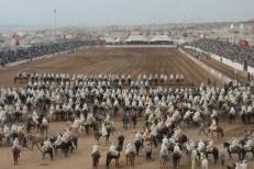 Après l'affaire du Moussem Moulay Abdellah, des associations demandent l'interdiction des tentes