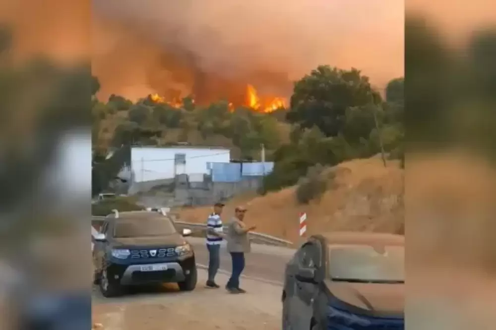 Chefchaouen : Deux membres de la Protection civile blessés dans l'incendie de forêt