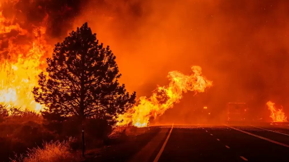 Espagne : incendie maîtrisé près de la ville de Tarifa