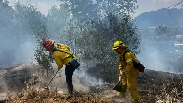 États-Unis : Plus de 41.000 hectares ravagés par d...