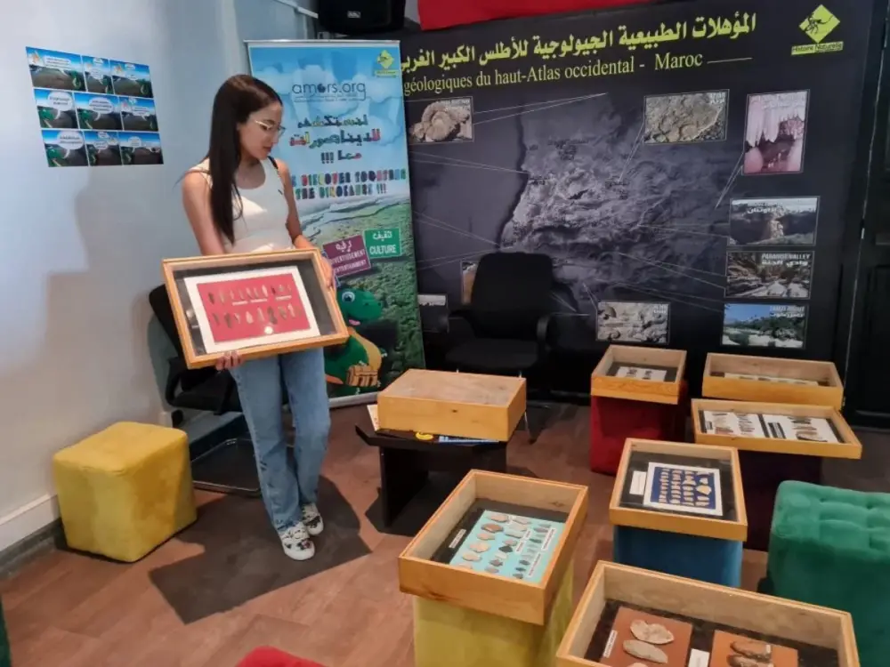 Le trésor préhistorique du Maroc menacé par les pilleurs