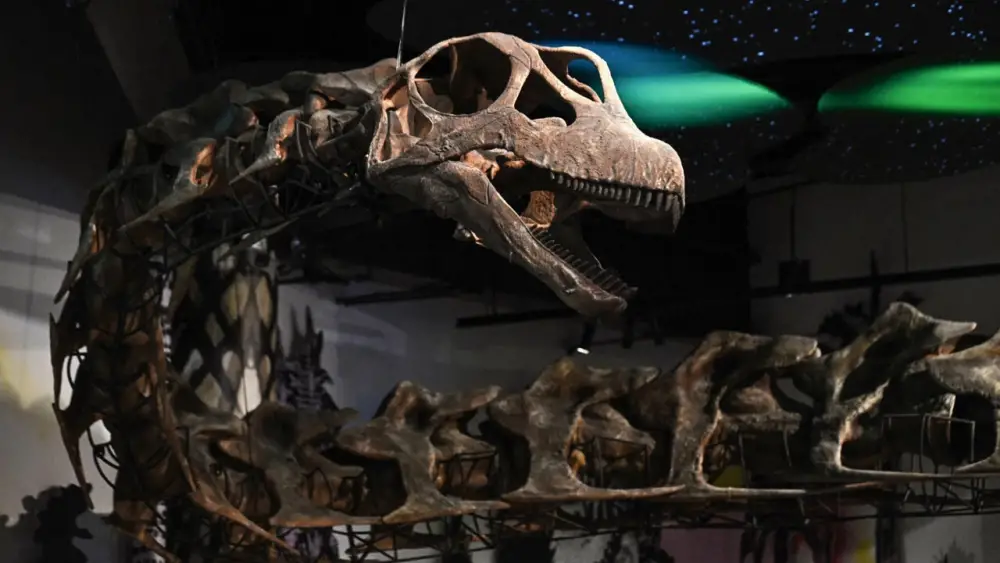 Thaïlande : découverte d’un fossile de dinosaure vieux de plus de 130 millions d'années