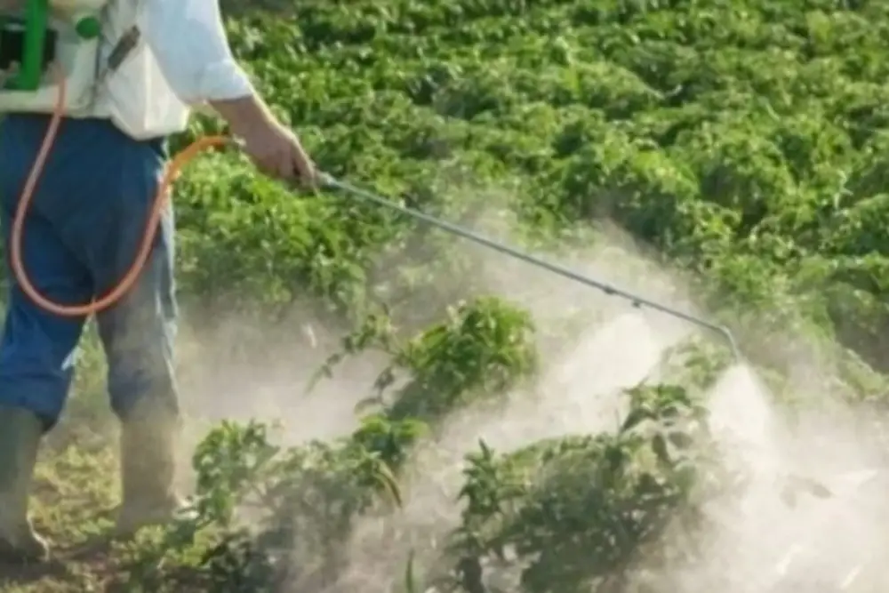 L'administration Trump approuve des pesticides qui inquiètent la communauté scientifique