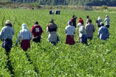 Résilience climatique : l'ADA obtient l'appui du Fonds vert pour préparer un projet agro-pastoral dans l'Oriental et à Khénifra
