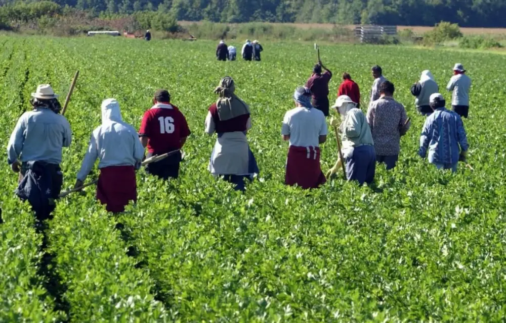Résilience climatique : l'ADA obtient l'appui du Fonds vert pour préparer un projet agro-pastoral dans l'Oriental et à Khénifra