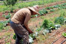 Agriculture solidaire : 40 nouveaux projets dans le pipe à Marrakech-Safi