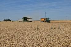 Canicule en France : des centaines de millions d’euros d’aides aux agriculteurs