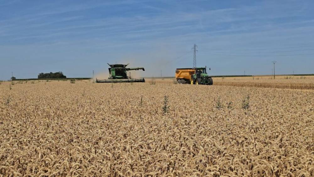 Canicule en France : des centaines de millions d’euros d’aides aux agriculteurs