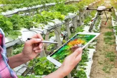 Casablanca-Settat se dotera d’une Carte agricole régionale pour protéger ses terres de l’urbanisation