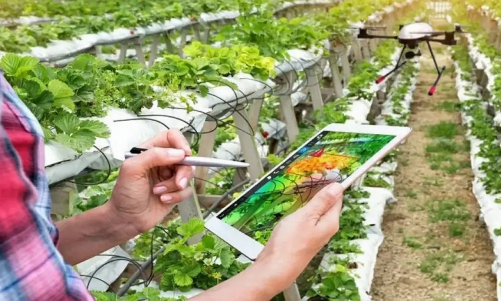 Casablanca-Settat se dotera d’une Carte agricole régionale pour protéger ses terres de l’urbanisation
