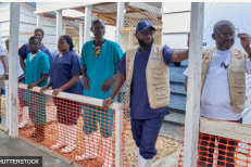 L’épidémie d’Ebola en République démocratique du Congo devient la plus meurtrière de son histoire