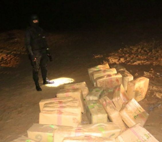 Près de deux tonnes de chira saisies dans une opération antidrogue à Laâyoune
