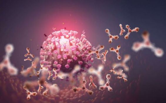 Coronavirus : La nouvelle souche détectée en Allemagne depuis novembre