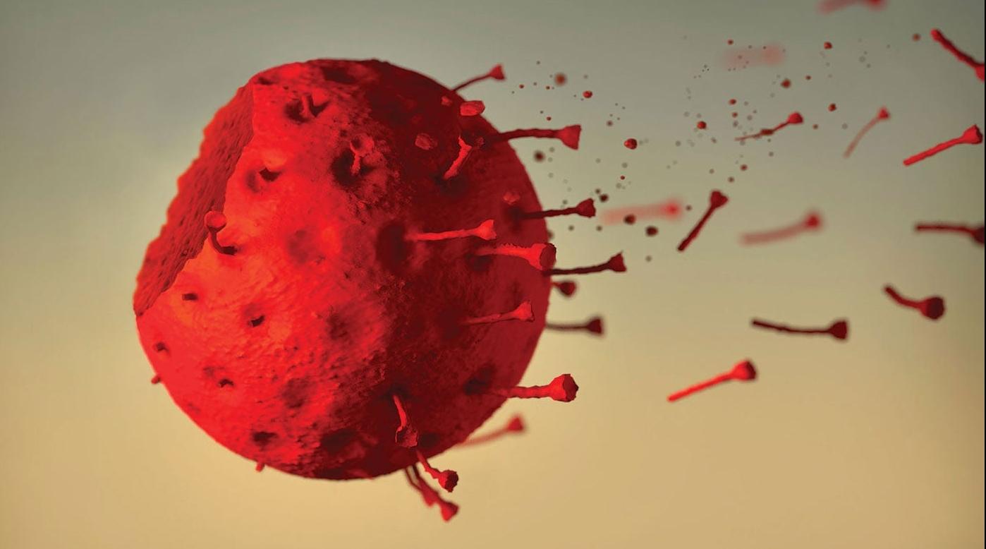 Corée du sud: nombre record de nouveaux cas de coronavirus