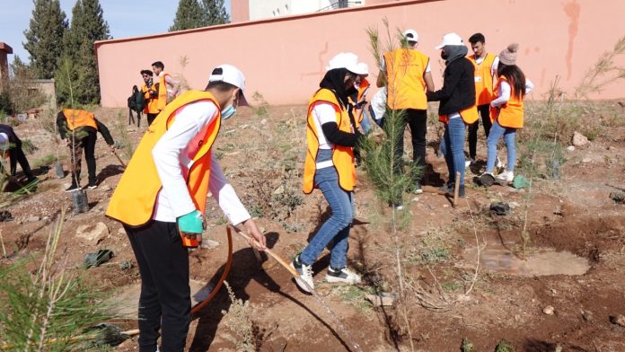 L’Association Géoparc M’Goun se démarque et organise des campagnes de plantation de caroubier dans le Géoparc