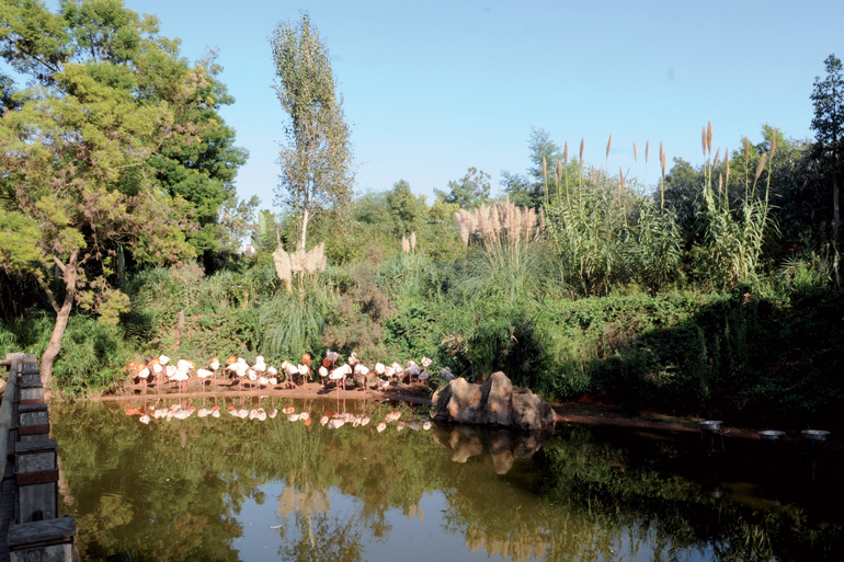 Le jardin zoologique de Rabat doté de « live-caméra »