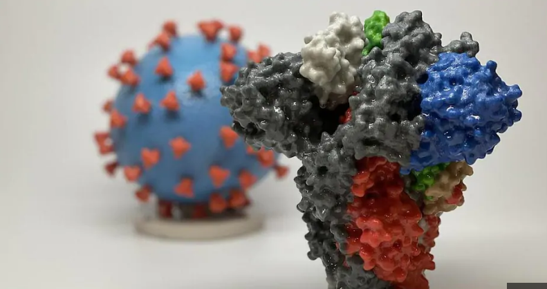 Premier cas de nouvelle souche du virus en Allemagne