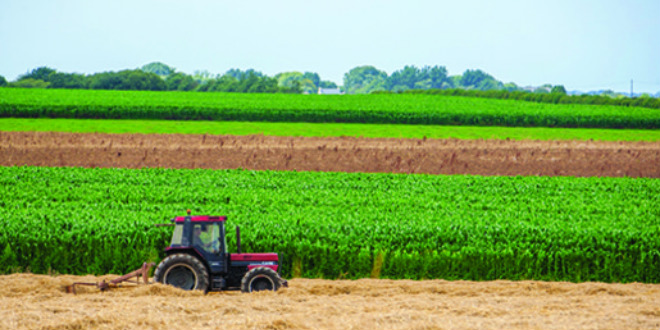 Ministère de l’Agriculture: voici le budget d’investissement en 2021