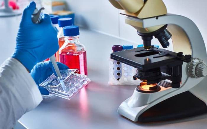 Le Maroc compte 23 chercheurs parmi les meilleurs au monde