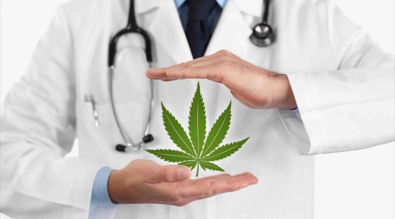 L’ONU reconnaît officiellement l’utilité médicale du cannabis