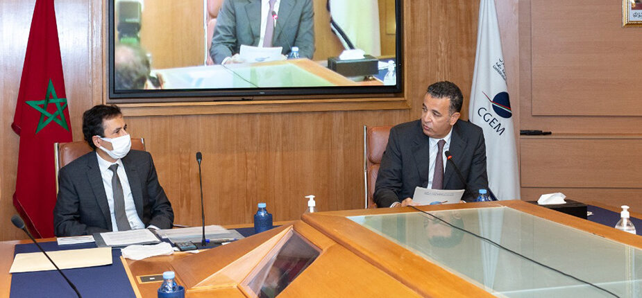 Fonds Mohammed VI : Investissements, une défaillance du privé est à craindre !