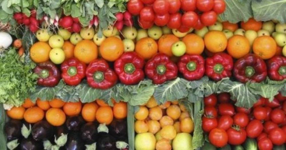 Le Maroc, premier fournisseur étranger du marché espagnol en légumes et fruits