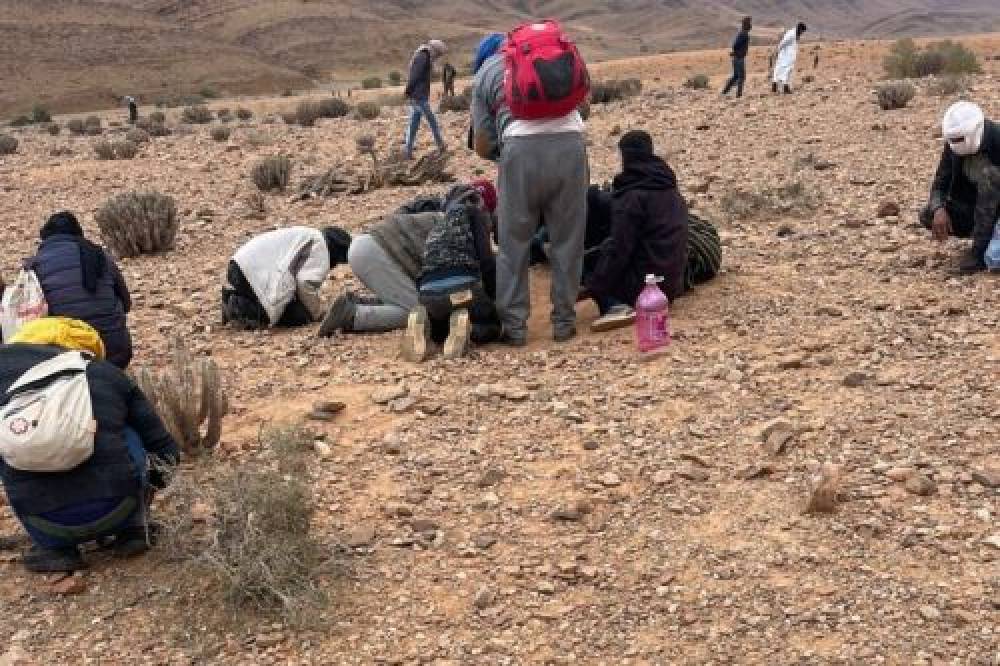 Météorite de Tiglit : le Musée Universitaire de météorites d'Agadir se prononce sur son origine