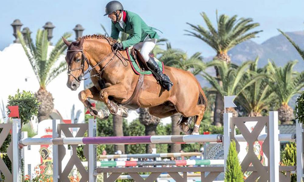 Equitation : Ali Al Ahrach, champion du Maroc